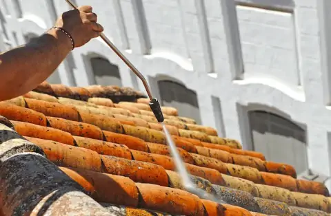 Nettoyage de toitures - Portes